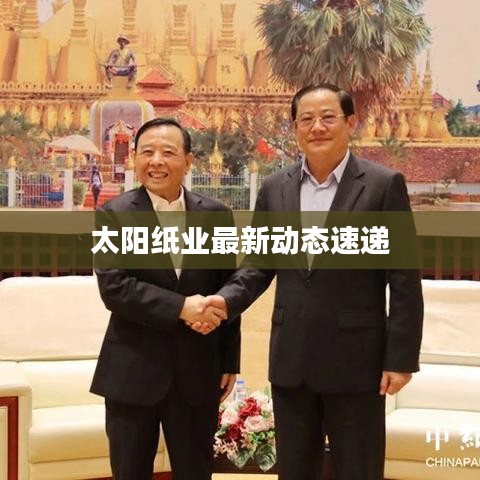 太阳纸业最新动态速递