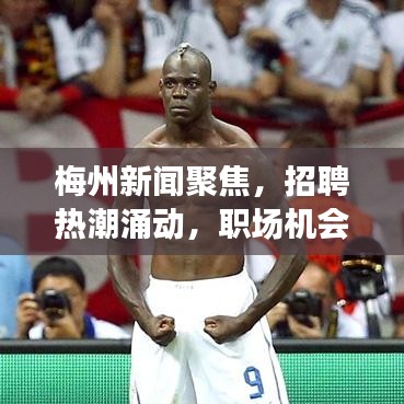 梅州新闻聚焦，招聘热潮涌动，职场机会大揭秘