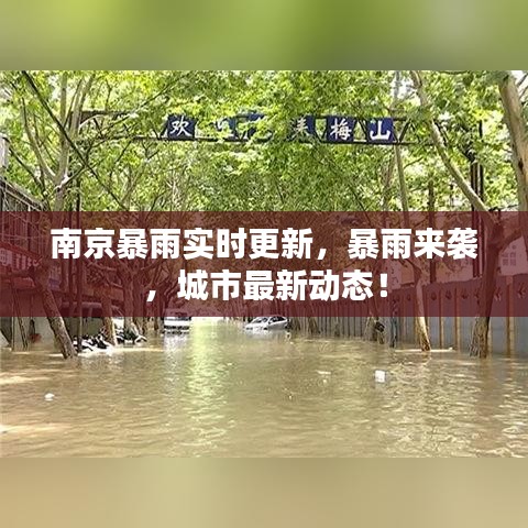 南京暴雨实时更新，暴雨来袭，城市最新动态！