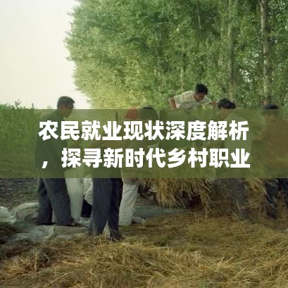 农民就业现状深度解析，探寻新时代乡村职业发展的新路径