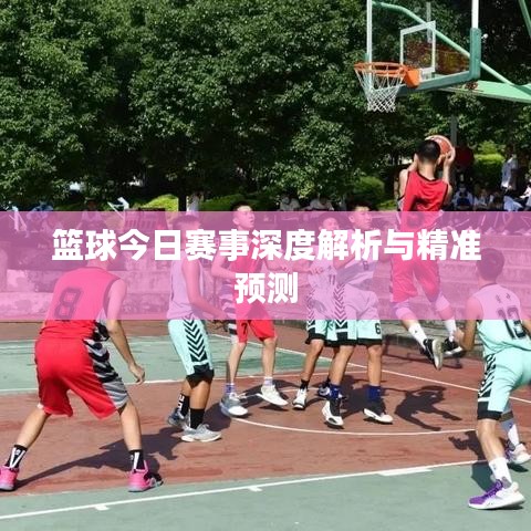 篮球今日赛事深度解析与精准预测