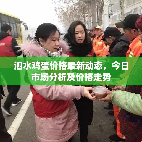 泗水鸡蛋价格最新动态，今日市场分析及价格走势
