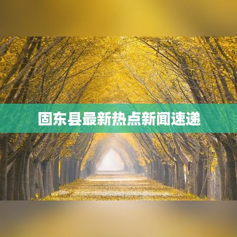 固东县最新热点新闻速递