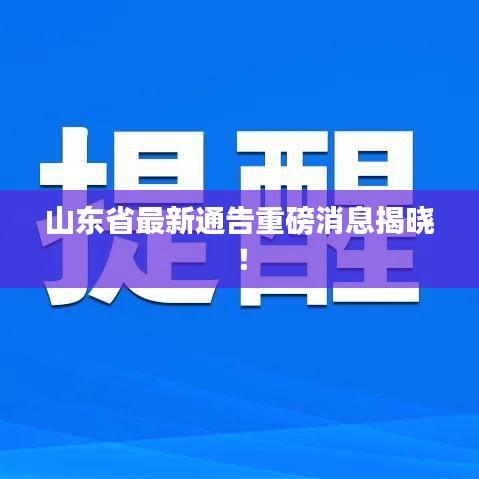 山东省最新通告重磅消息揭晓！