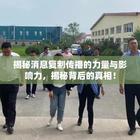 揭秘消息复制传播的力量与影响力，揭秘背后的真相！
