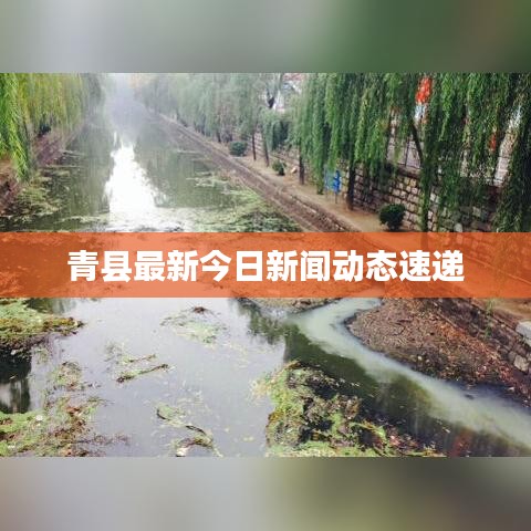 青县最新今日新闻动态速递