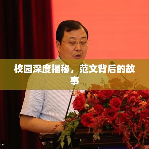 校园深度揭秘，范文背后的故事