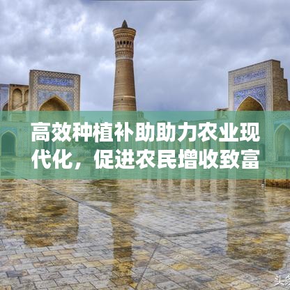 高效种植补助助力农业现代化，促进农民增收致富路