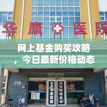 网上基金购买攻略，今日最新价格动态一网打尽