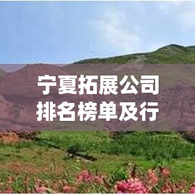 宁夏拓展公司排名榜单及行业影响力深度解析