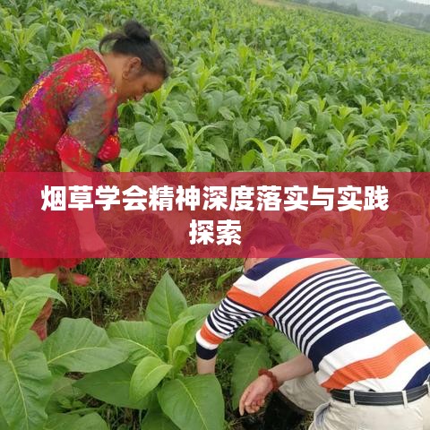 烟草学会精神深度落实与实践探索