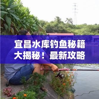 宜昌水库钓鱼秘籍大揭秘！最新攻略一网打尽！