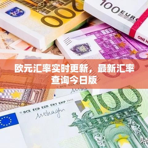 欧元汇率实时更新，最新汇率查询今日版
