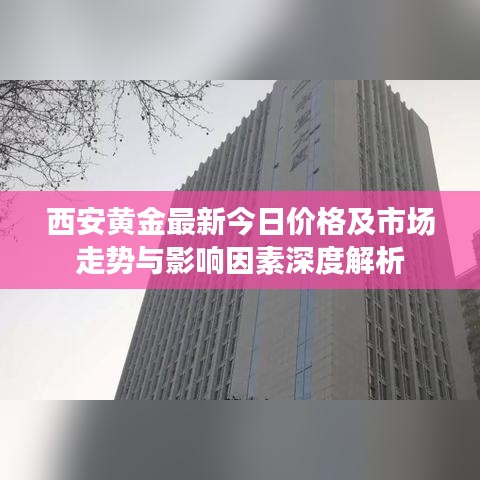 西安黄金最新今日价格及市场走势与影响因素深度解析