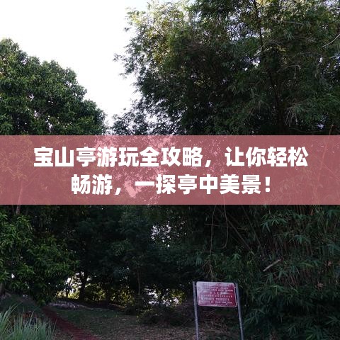 宝山亭游玩全攻略，让你轻松畅游，一探亭中美景！