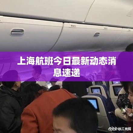 上海航班今日最新动态消息速递