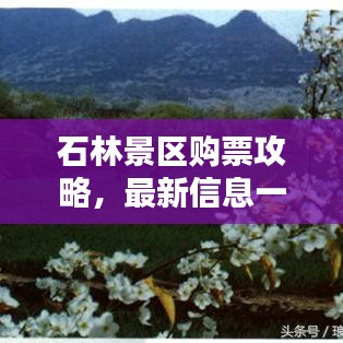 石林景区购票攻略，最新信息一网打尽