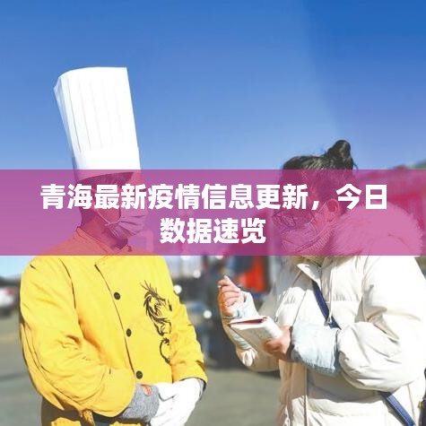 青海最新疫情信息更新，今日数据速览