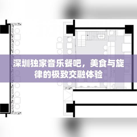深圳独家音乐餐吧，美食与旋律的极致交融体验