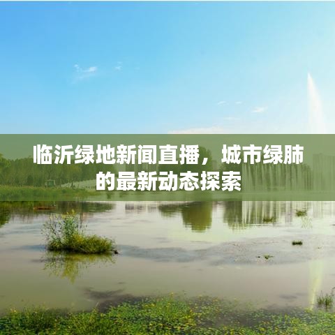 临沂绿地新闻直播，城市绿肺的最新动态探索