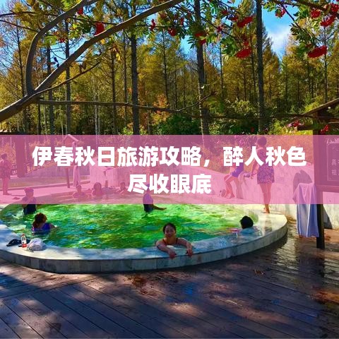 伊春秋日旅游攻略，醉人秋色尽收眼底