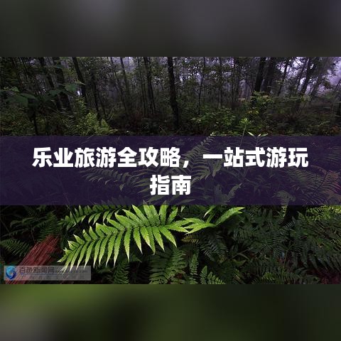 乐业旅游全攻略，一站式游玩指南