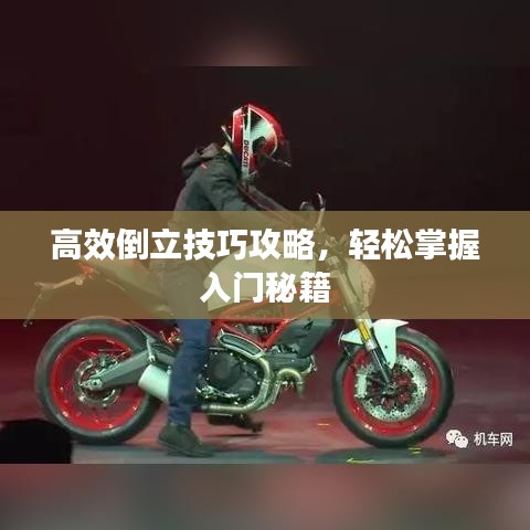 高效倒立技巧攻略，轻松掌握入门秘籍