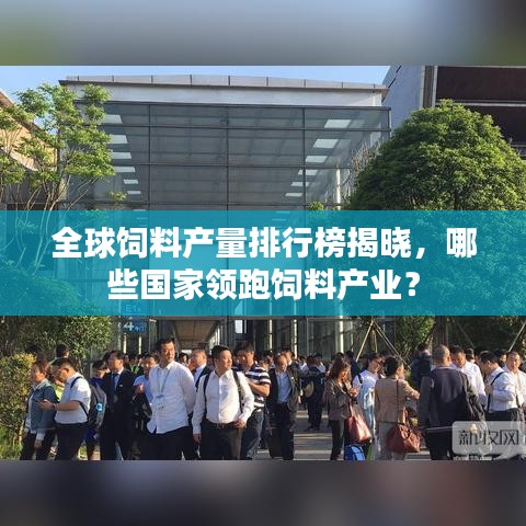 全球饲料产量排行榜揭晓，哪些国家领跑饲料产业？