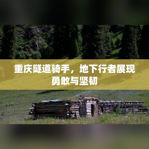 重庆隧道骑手，地下行者展现勇敢与坚韧