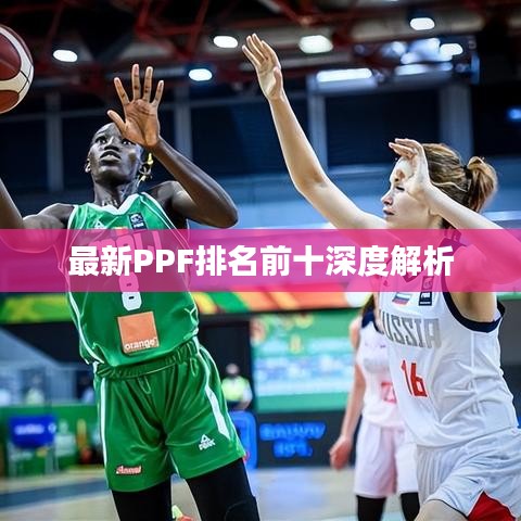 最新PPF排名前十深度解析
