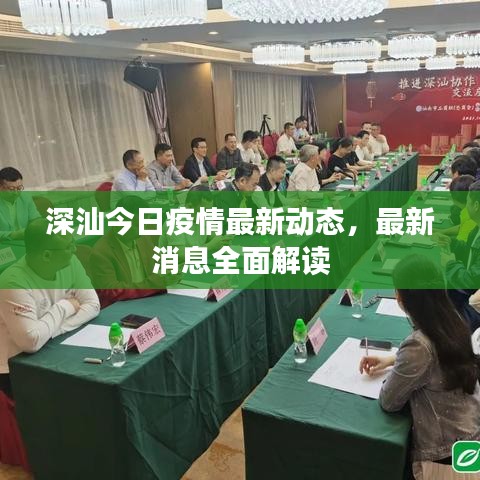 深汕今日疫情最新动态，最新消息全面解读