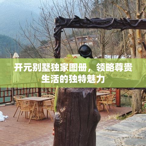 开元别墅独家图册，领略尊贵生活的独特魅力