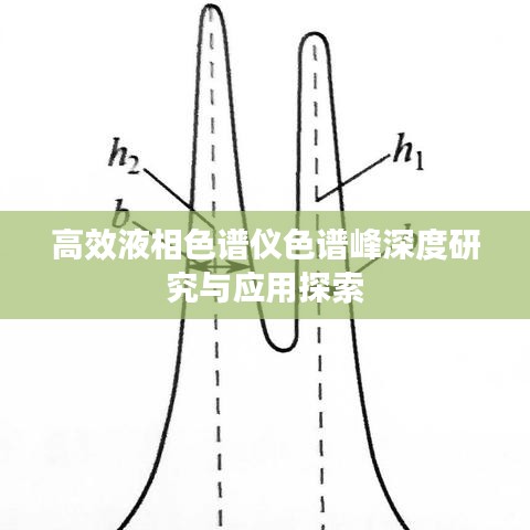 高效液相色谱仪色谱峰深度研究与应用探索