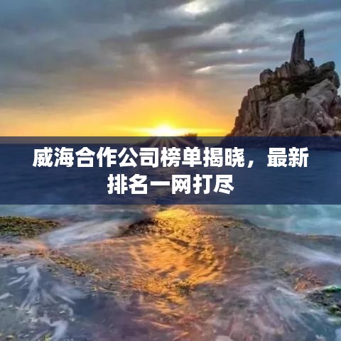 威海合作公司榜单揭晓，最新排名一网打尽