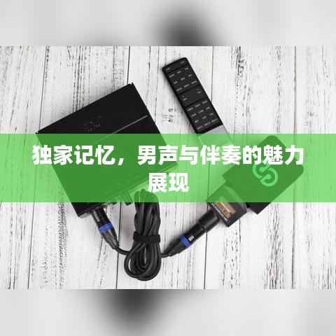 独家记忆，男声与伴奏的魅力展现