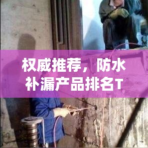 权威推荐，防水补漏产品排名TOP10，选购不再迷茫！