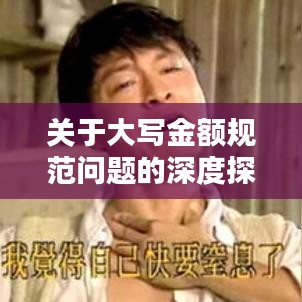 关于大写金额规范问题的深度探讨，大写金额书写不当的风险与应对之道