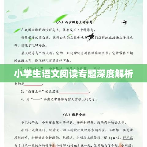 小学生语文阅读专题深度解析