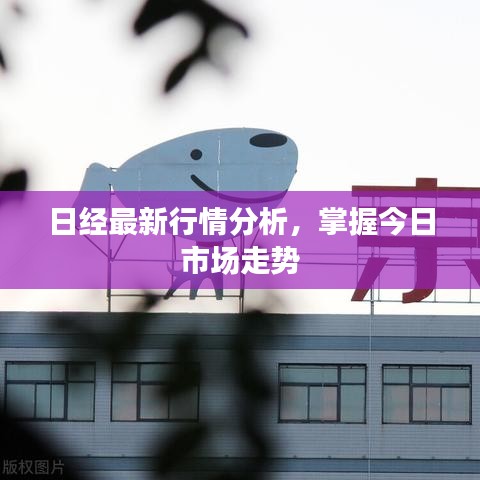 日经最新行情分析，掌握今日市场走势