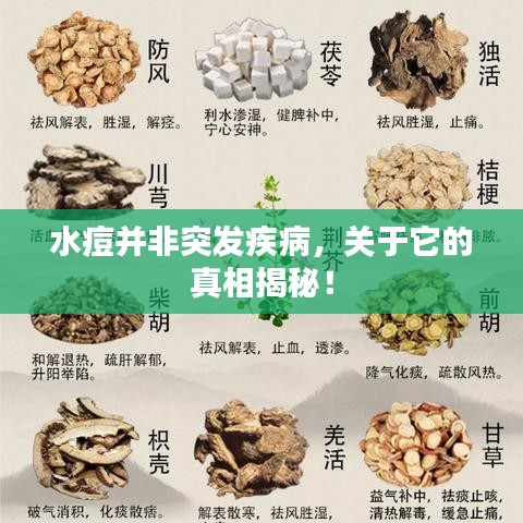 水痘并非突发疾病，关于它的真相揭秘！