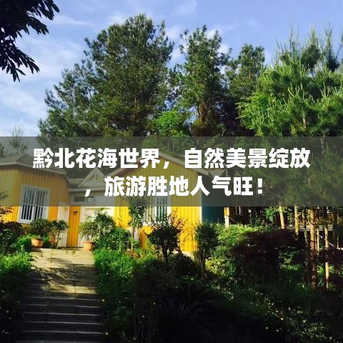 黔北花海世界，自然美景绽放，旅游胜地人气旺！