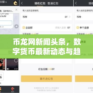 币龙网新闻头条，数字货币最新动态与趋势探索