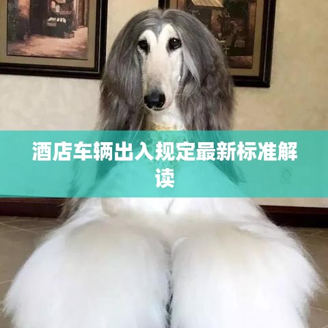 酒店车辆出入规定最新标准解读