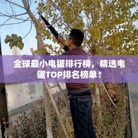 全球最小电锯排行榜，精选电锯TOP排名榜单！