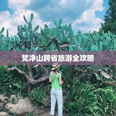 梵净山跨省旅游全攻略