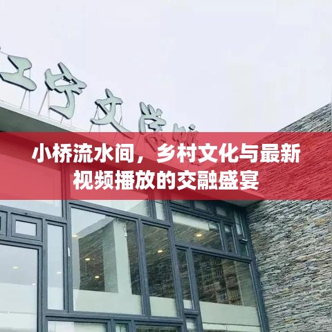 小桥流水间，乡村文化与最新视频播放的交融盛宴