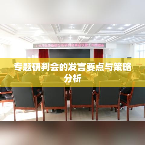 专题研判会的发言要点与策略分析