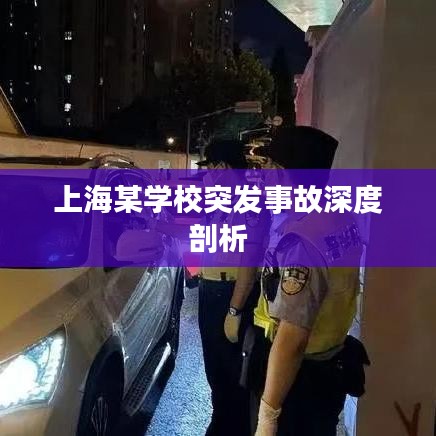 上海某学校突发事故深度剖析