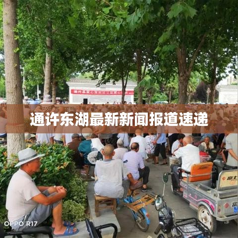 通许东湖最新新闻报道速递