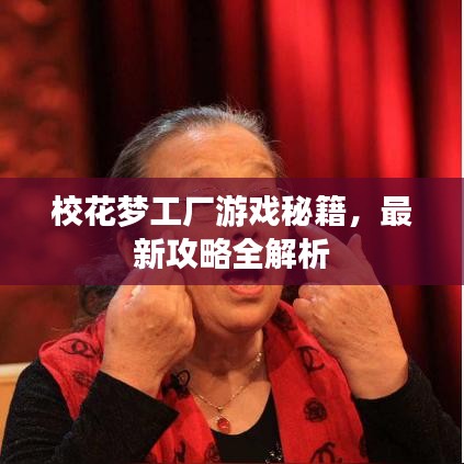 校花梦工厂游戏秘籍，最新攻略全解析